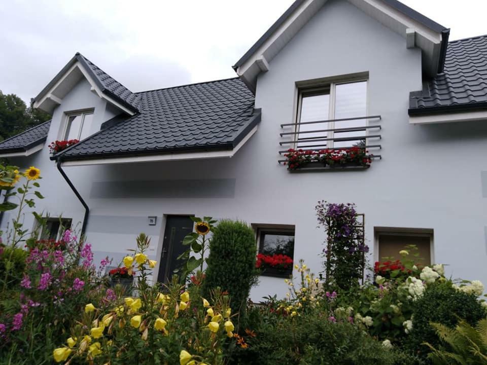 Aura Apartment Lewin Klodzki