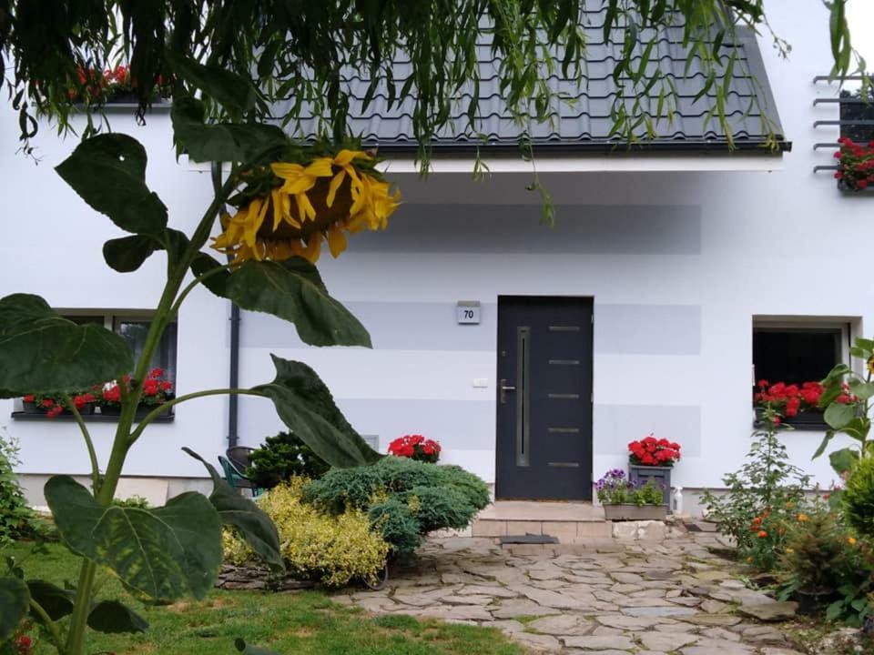Aura Lewin Klodzki